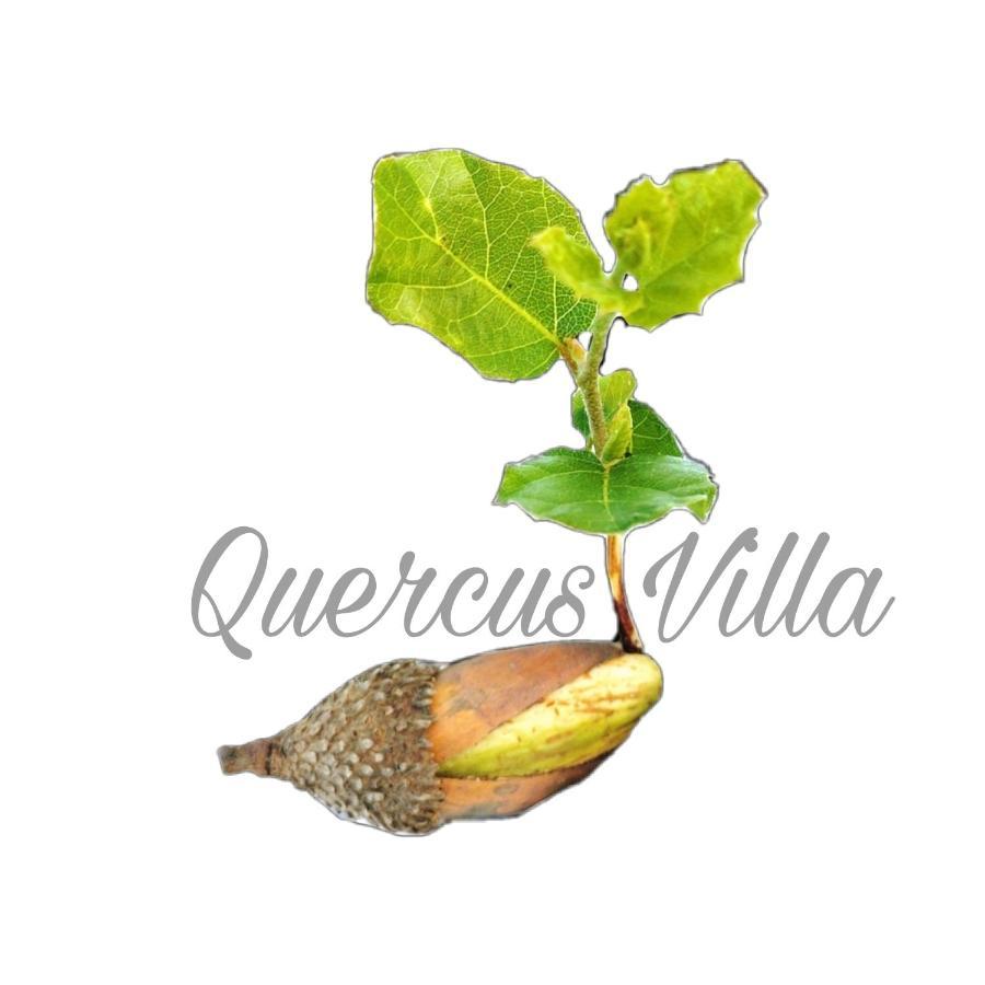 Quercus Villa เซซิมบรา ภายนอก รูปภาพ